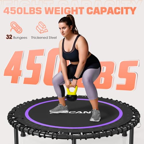 Foldable Mini Trampoline for Adults, 40/48 Inch Indoor Exercise Rebounder N9596