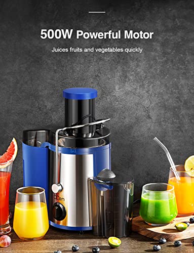 Juicer Machine, 800W Centrifugal Extractor with Wide Mouth Feed Chute, Stainless Steel, BPA-free Y425329