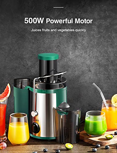 Juicer Machine, 800W Centrifugal Extractor with Wide Mouth Feed Chute, Stainless Steel, BPA-free Y425329
