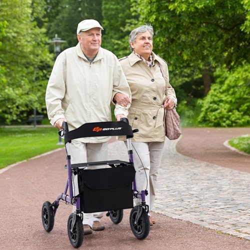 Rollator Walker for Seniors with Seat, Foldable, All Terrain Pneumatic Wheels G204121