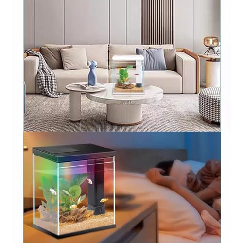 2 Gallon Glass Betta Fish Tank with Heater Filter and Light J313913
