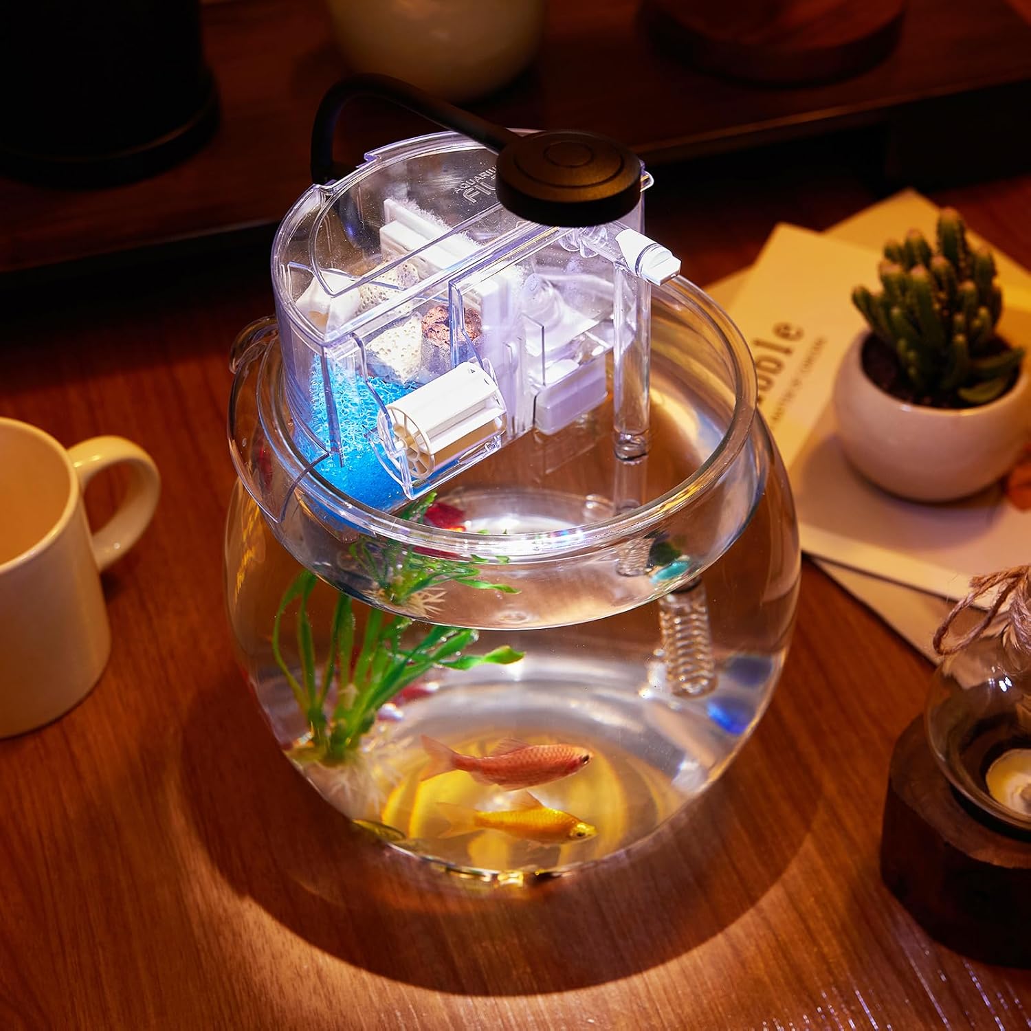 1 Gallon Small Fish Tank with Filter and Light J77063