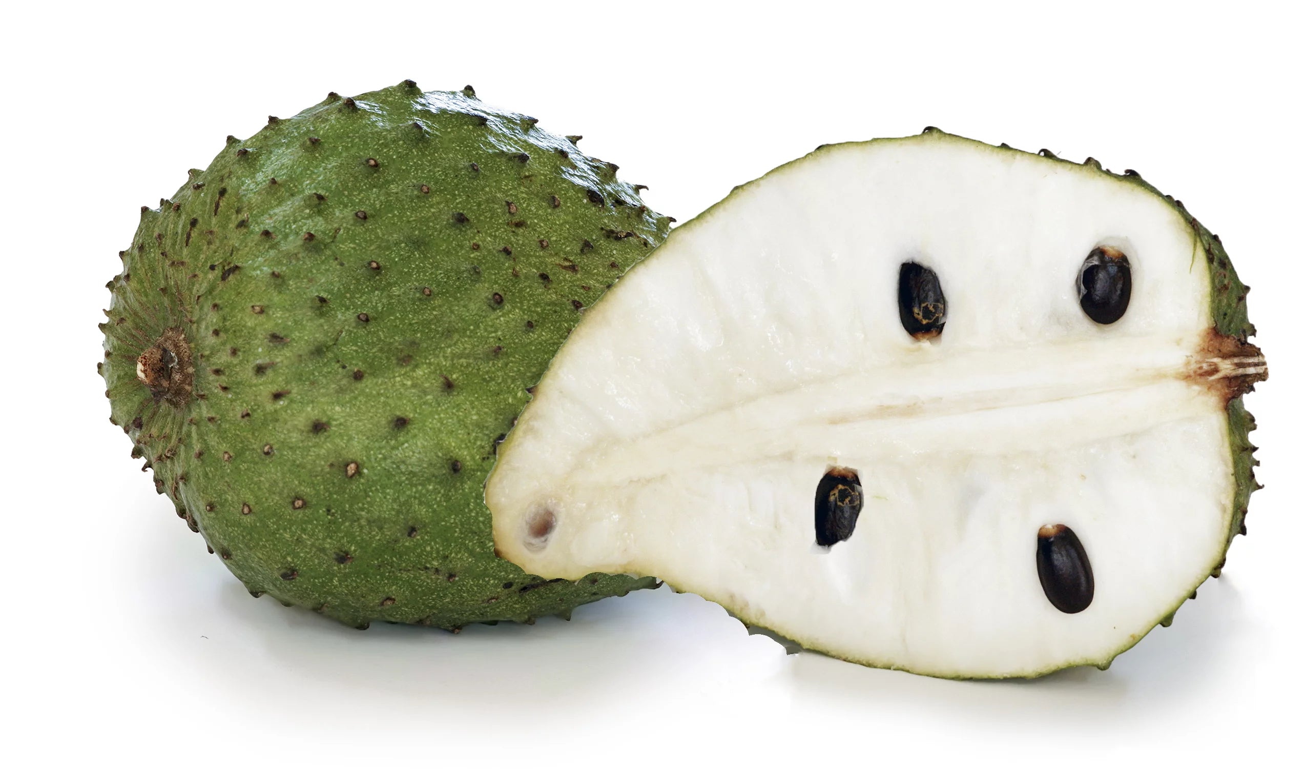 Soursop Tree Live Plant in 1 Gallon Pot, 1-2 Feet Tall, Tropical Edible Fruit Tree H7364