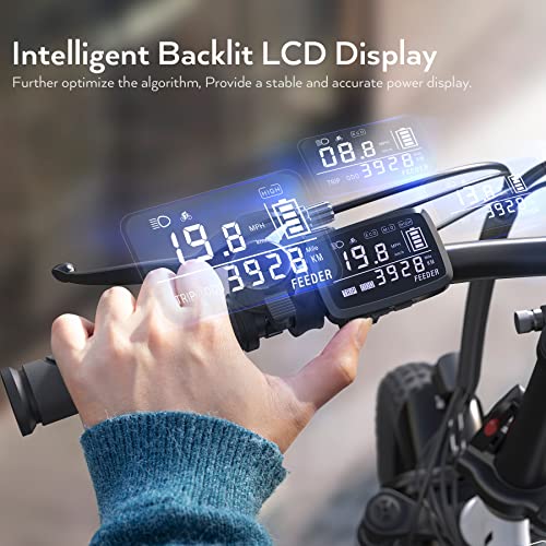 Electric Bike 16" Fat Tire 350W Step Thru 48V Removable Battery U460