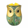 Owl Wax Melt Warmer Electric, Wax Melt Warmer for Scented Wax Electric, Wax Burner Wax Melter Candle Warmer, Gifts for Women (Owl Green)