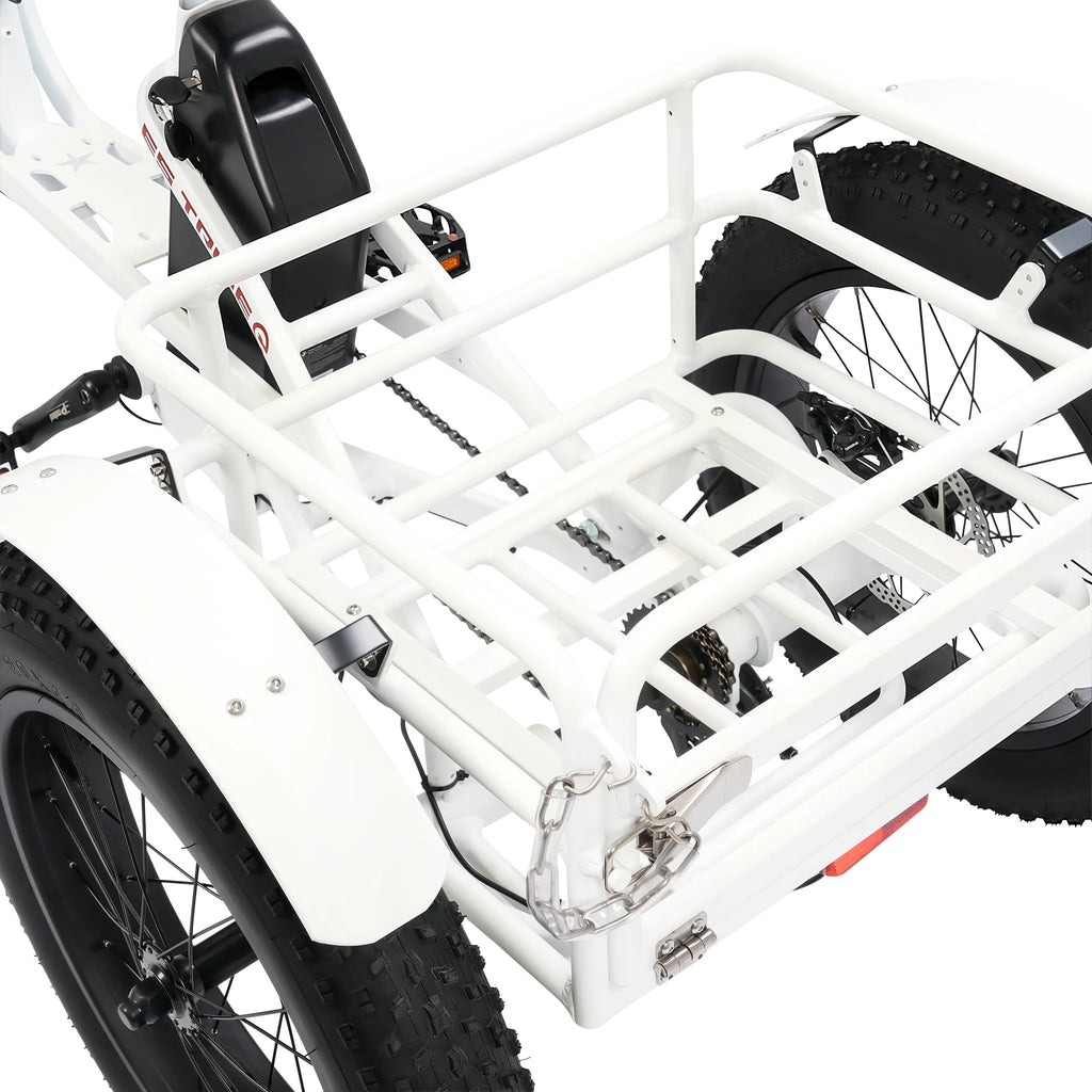 Electric Tricycle for Adults with Basket, 750W 48V, 3-Wheel Step-Thru H8104