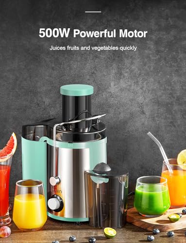 Juicer Machine, 800W Centrifugal Extractor with Wide Mouth Feed Chute, Stainless Steel, BPA-free Y425329