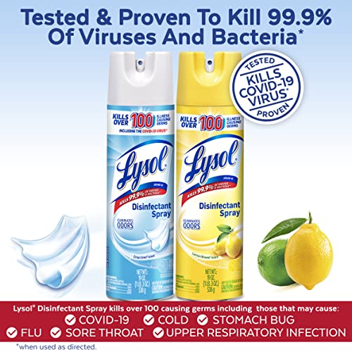 Disinfectant Spray, Lemon Breeze, 19 Fl Oz (Pack of 2) G5687