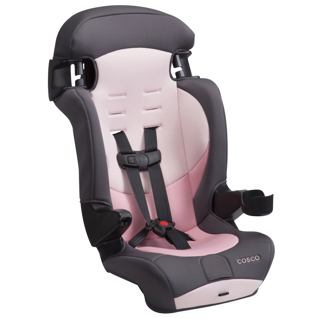 2-in-1 Booster Car Seat, Sweetberry T115866