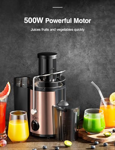 Juicer Machine, 800W Centrifugal Extractor with Wide Mouth Feed Chute, Stainless Steel, BPA-free Y425329
