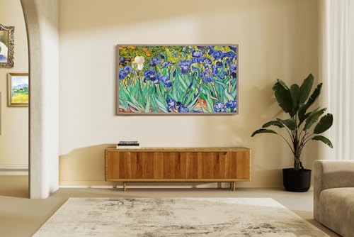 65-Inch QLED 4K Smart TV with Dolby Vision HDR and Anti-Glare Display P806492