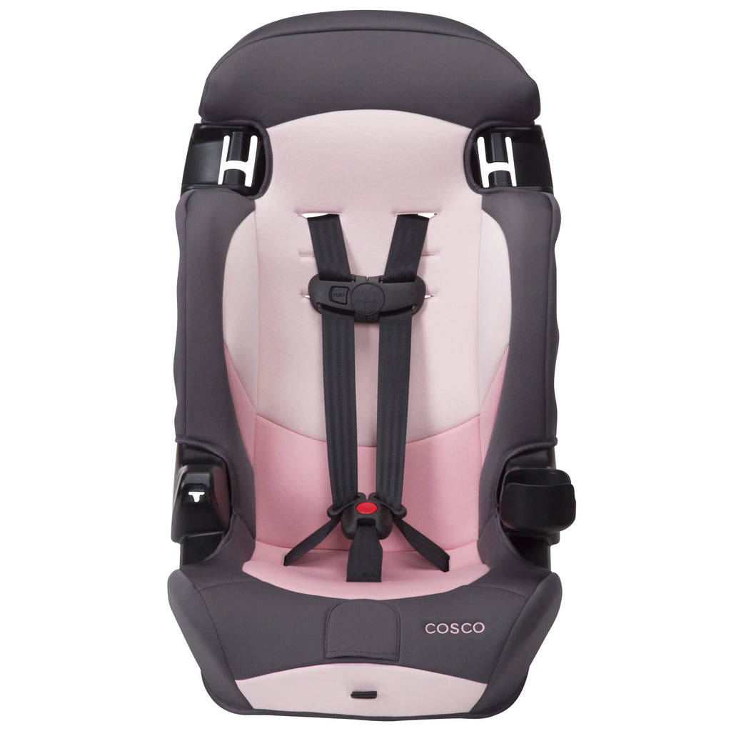 2-in-1 Booster Car Seat, Sweetberry T115866