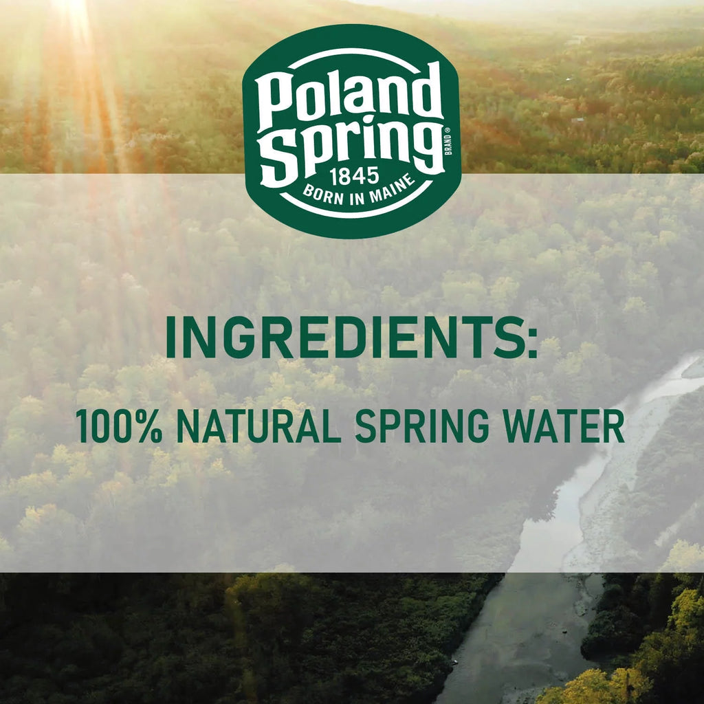 Natural Spring Water, 16.9 Fl Oz, 40 Count Bottles B447