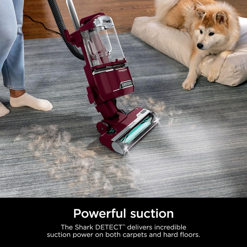 Upright Vacuum Cleaner for Home, Lightweight Bagless, HEPA Filter A60818
