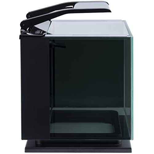 Betta Shadowbox Aquarium Kit L72938