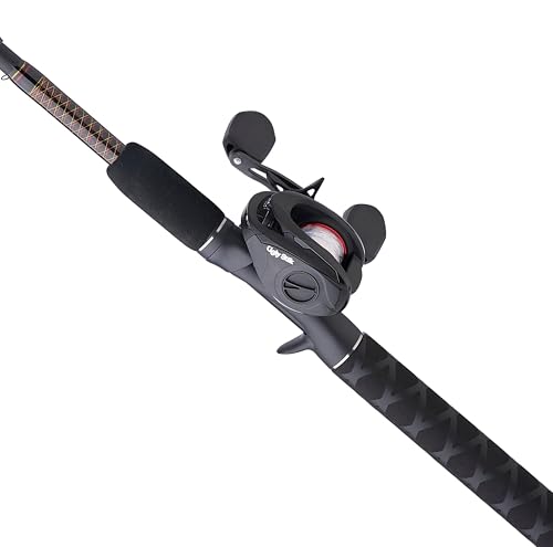 Baitcast Reel and Fishing Rod Combo A256