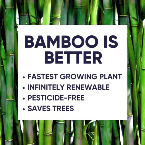 Bamboo Toilet Paper 3-Ply 24 Rolls Septic Safe J2093