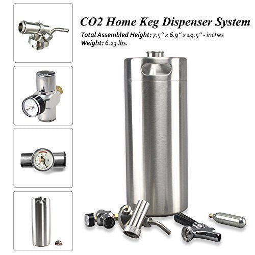 Stainless Steel Mini Keg Dispenser Portable Kegerator Kit with CO2 Regulator T6603