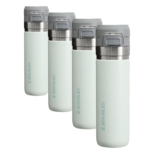 Insulated Stainless Steel Water Bottle 36 oz with Push Button Lid P799245