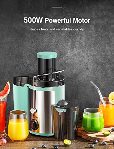 Juicer Machine, 800W Centrifugal Extractor with Wide Mouth Feed Chute, Stainless Steel, BPA-free Y425329