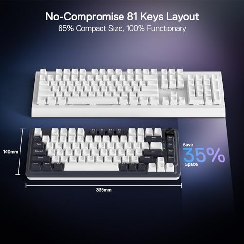75% Wireless Gasket RGB Gaming Keyboard, 81 Keys Hot-Swap Mechanical Z726001