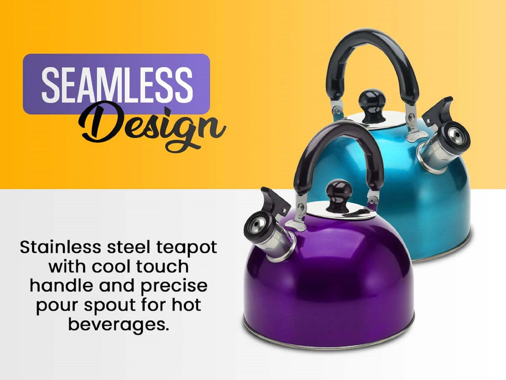 Stainless Steel Whistling Tea Kettle with Handle W6573