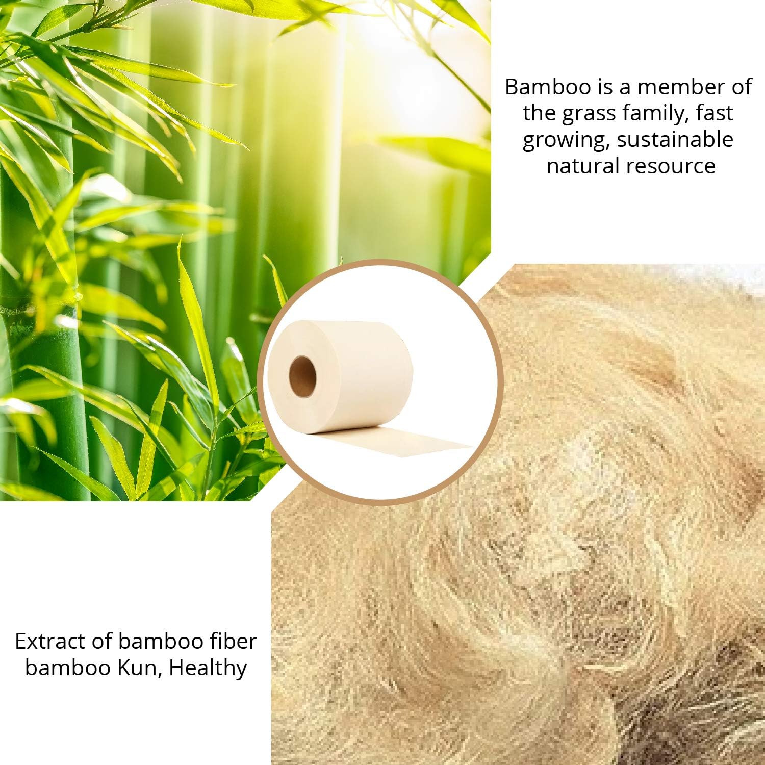 Bamboo Toilet Paper, 40 Mega Rolls, 10000 Sheets S81714