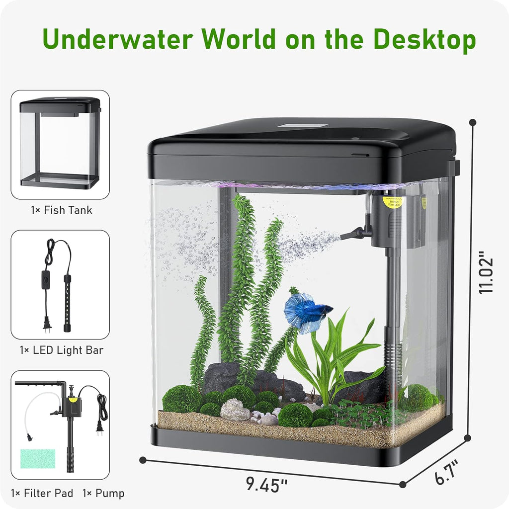 2 Gallon Glass Fish Tank with Filter and Light D832