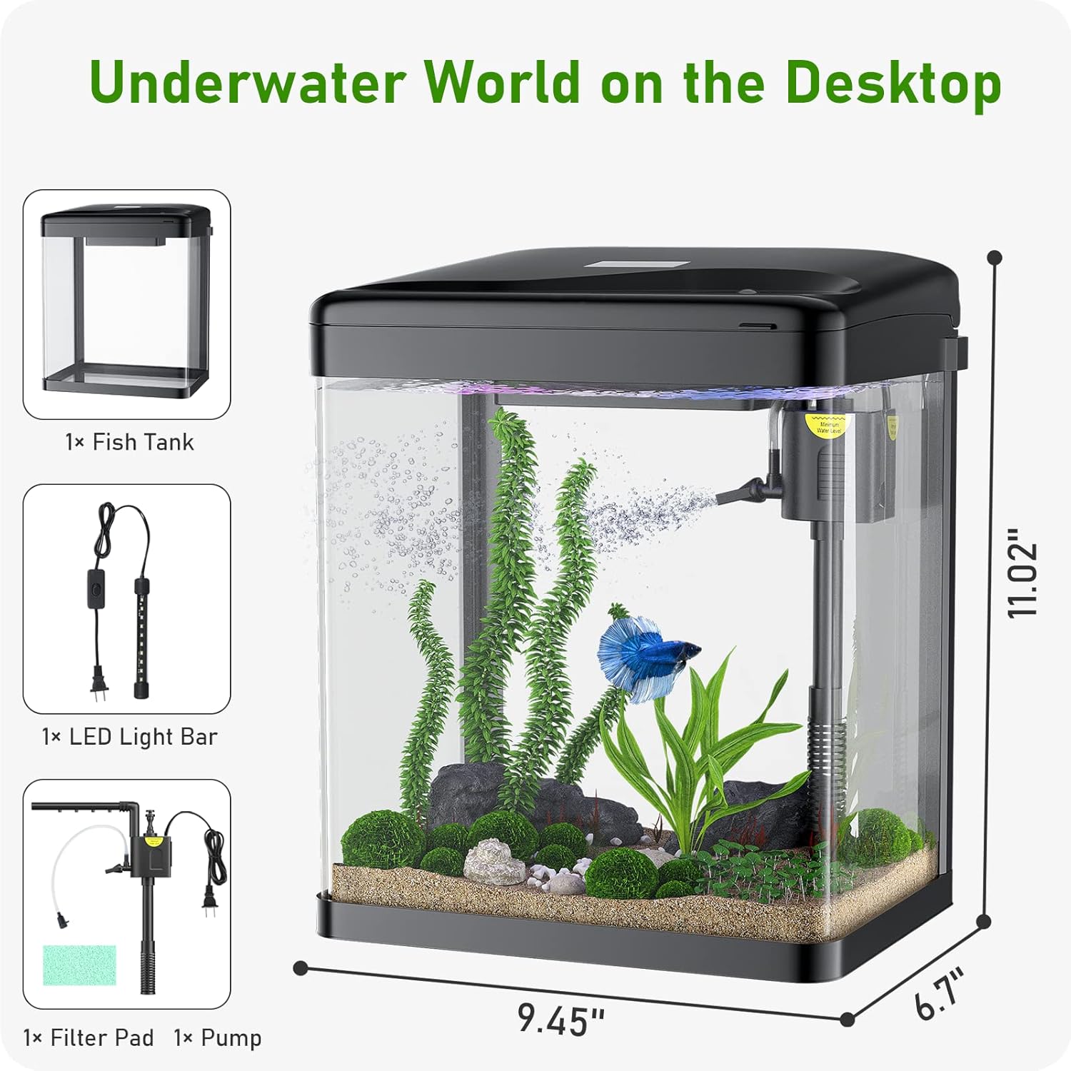 2 Gallon Glass Fish Tank with Filter and Light D832