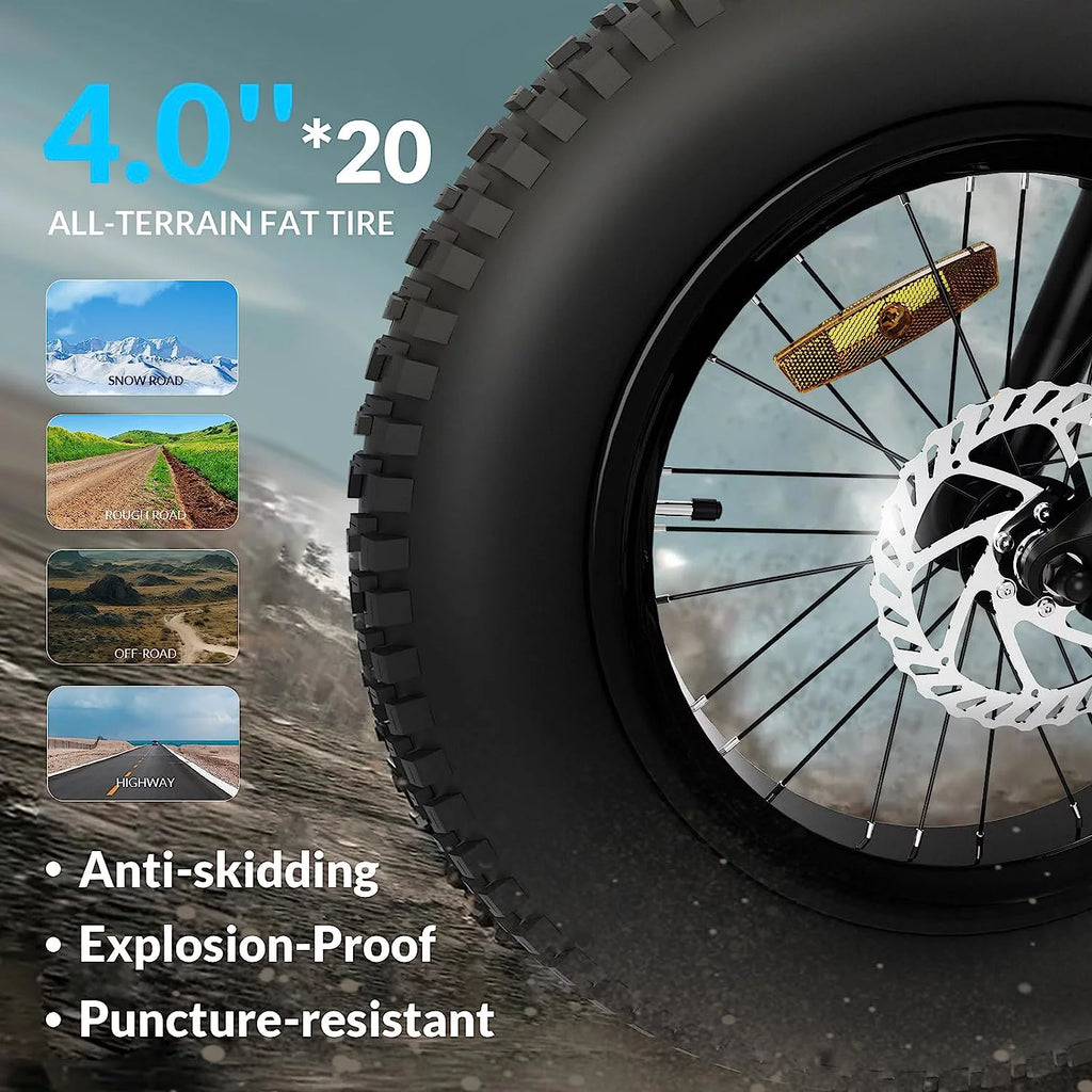 20" Fat Tire Foldable Electric Bike, 48V 10.5Ah Removable Battery, 500W Motor R4218