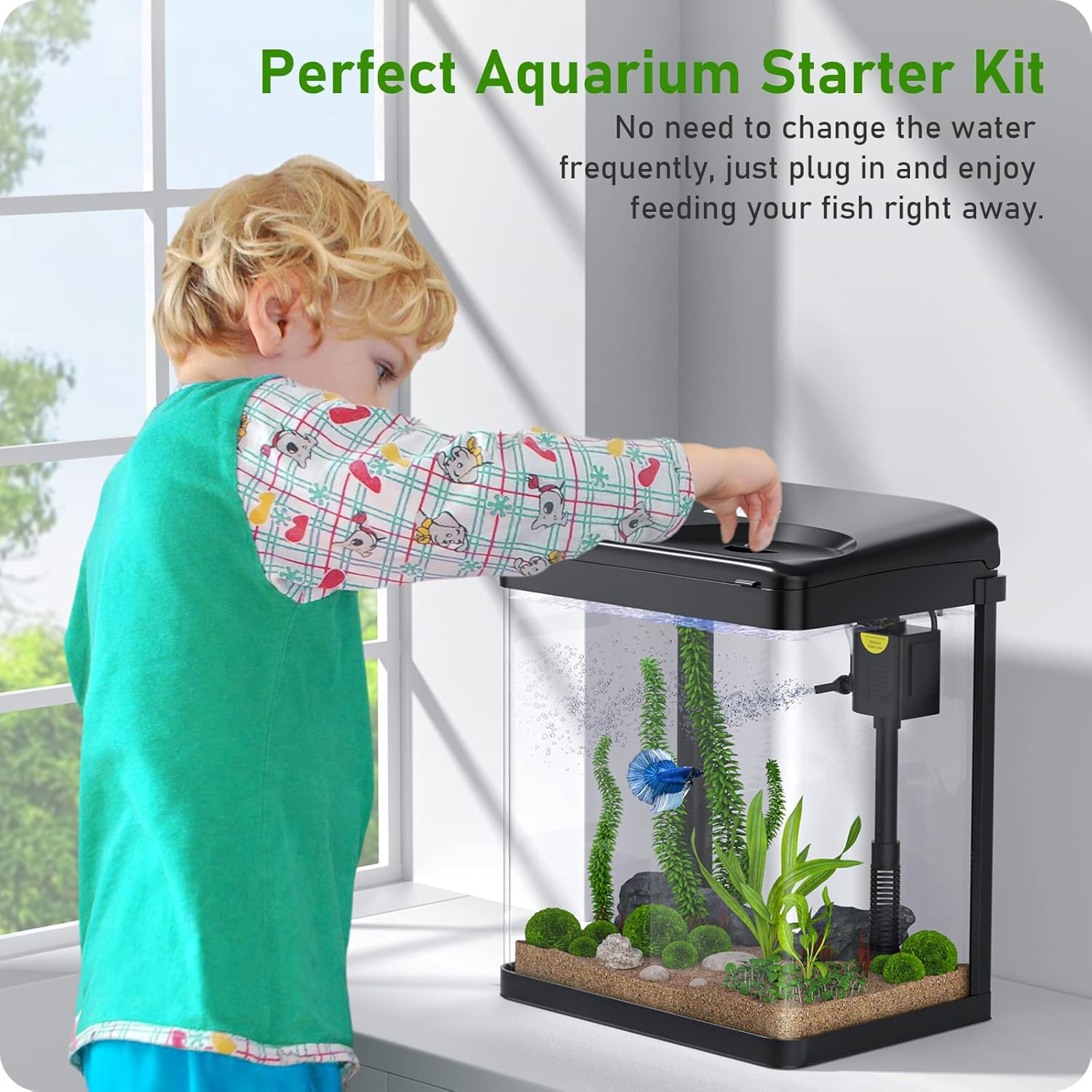 2 Gallon Glass Fish Tank with Filter and Light D832