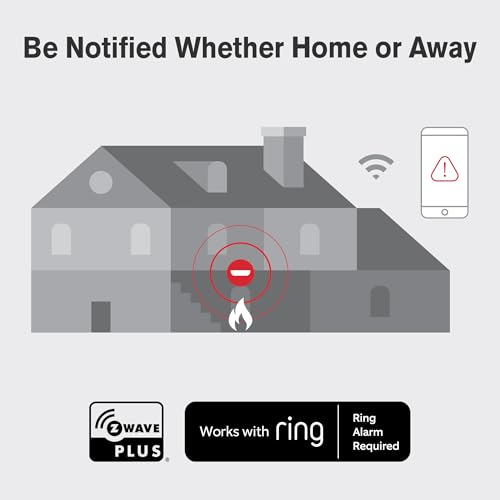 Battery Powered Smoke Detector & Carbon Monoxide Alarm K53456