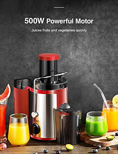 Juicer Machine, 800W Centrifugal Extractor with Wide Mouth Feed Chute, Stainless Steel, BPA-free Y425329