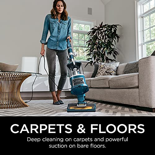 Upright Vacuum Cleaner for Home, Lightweight Bagless, HEPA Filter A60818