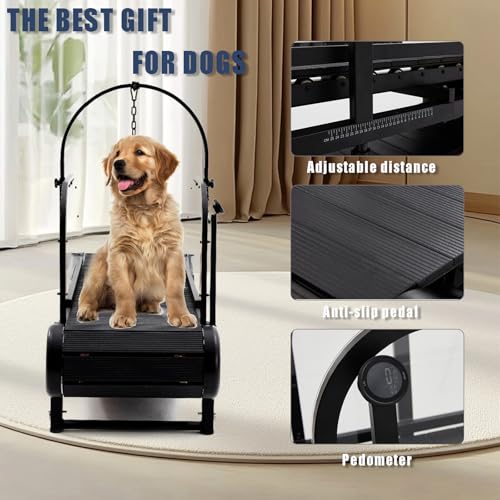 Dog Treadmill with Step Counter, Adjustable Incline & Brake, Indoor and Outdoor, Supports Up to 300 lbs W851