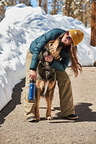 Stainless Steel Vacuum Insulated Water Bottle S29459