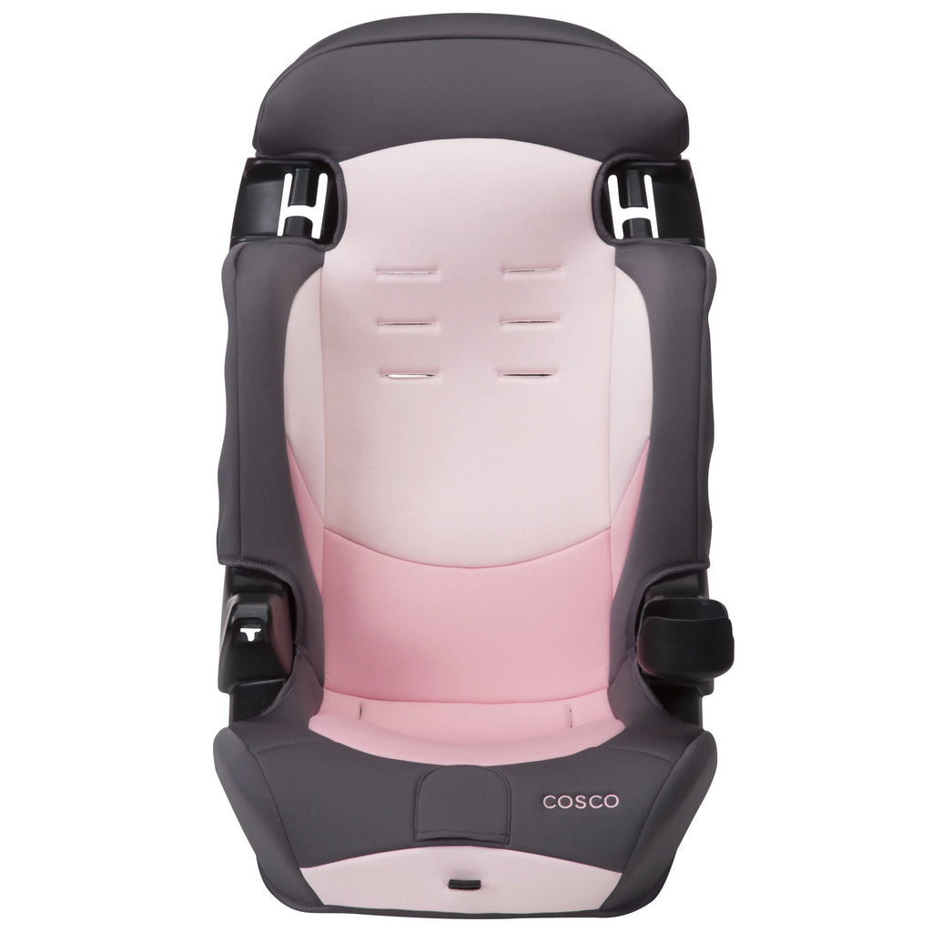 2-in-1 Booster Car Seat, Sweetberry T115866