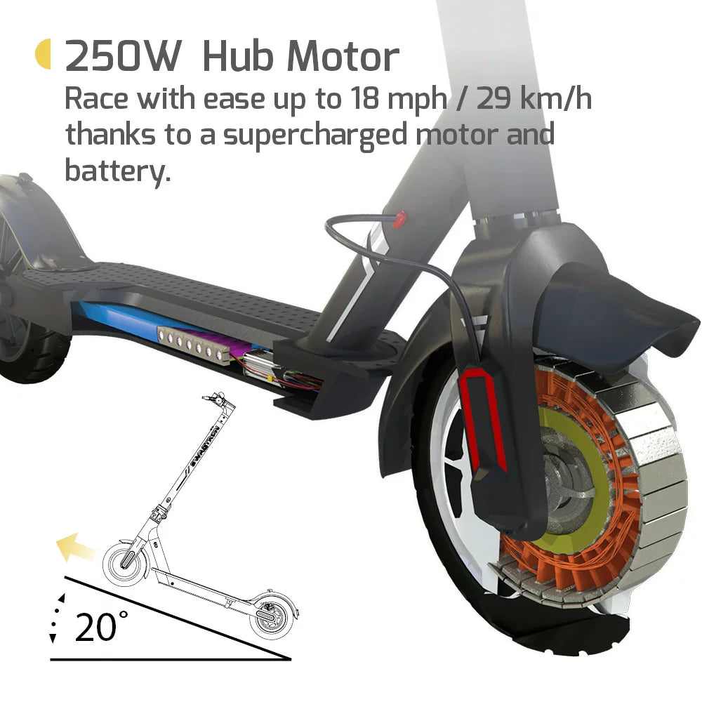 Portable Foldable Electric Scooter R419