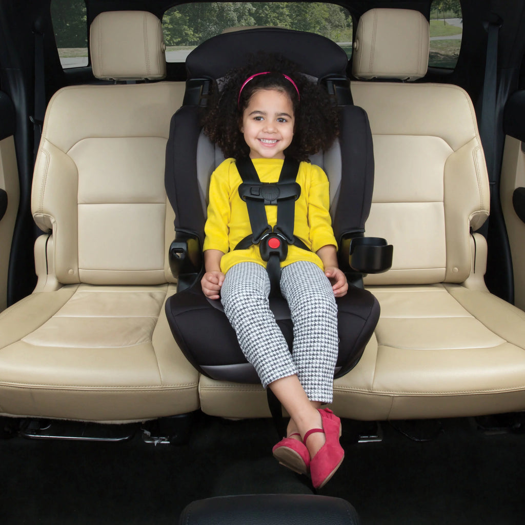 2-in-1 Booster Car Seat, Sweetberry T115866