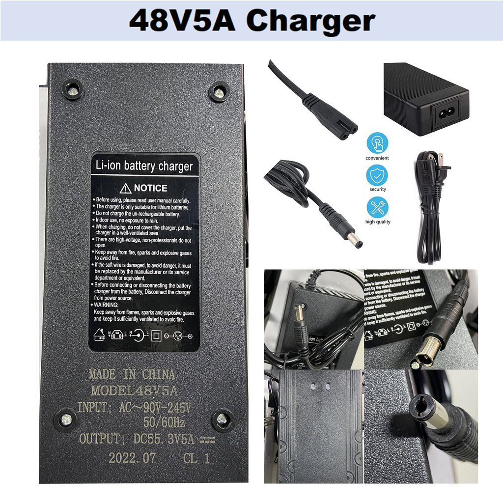 48V 14Ah Lithium Ebike Battery with 5A Charger L3107