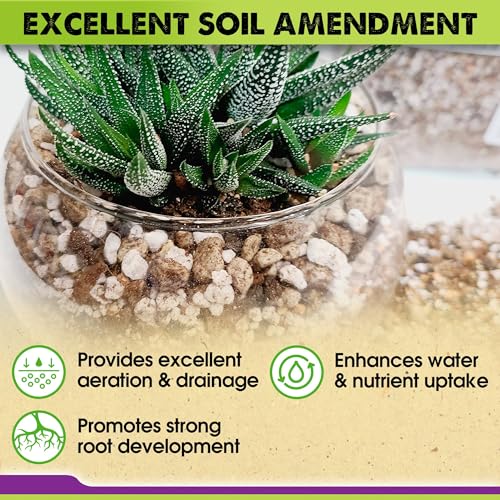 Horticultural Pumice for Plants Indoor, Soil Additive for Bonsai, Succulent, Cactus, 1/4" - 3/8", 2 QT N416