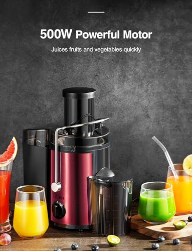 Juicer Machine, 800W Centrifugal Extractor with Wide Mouth Feed Chute, Stainless Steel, BPA-free Y425329
