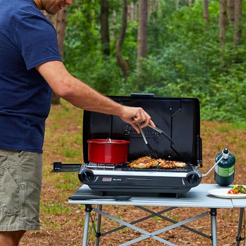 2-Burner Propane Camping Grill & Stove with Adjustable Burners Y3879