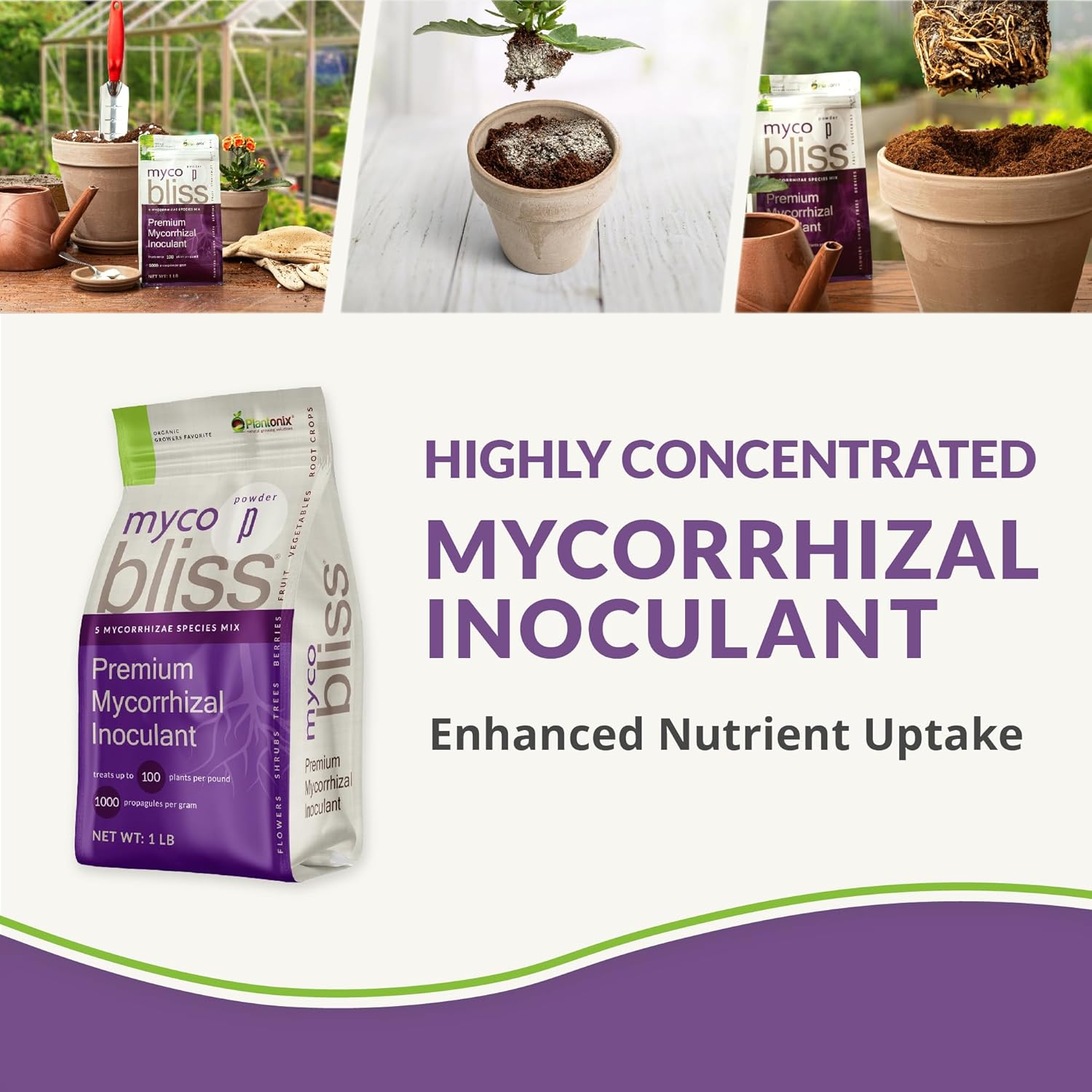 Mycorrhizal Inoculant Powder with Coco Coir Bricks B630934