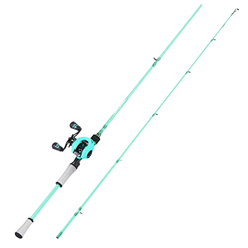 Fishing Rod and Reel Combo, Spinning and Baitcasting Pole with Graphite Blanks O8586