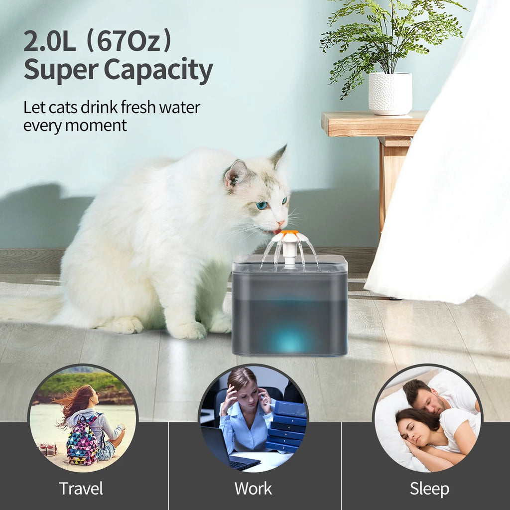 Cat Water Fountain 2L with Replacement Filters, Quiet Pump, Black Z925082