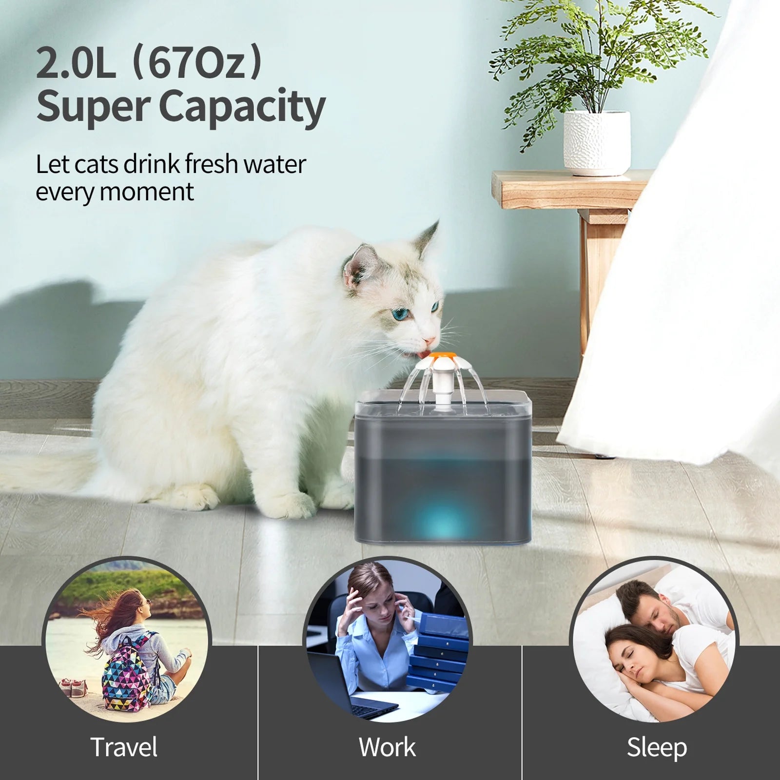 Cat Water Fountain 2L with Replacement Filters, Quiet Pump, Black Z925082