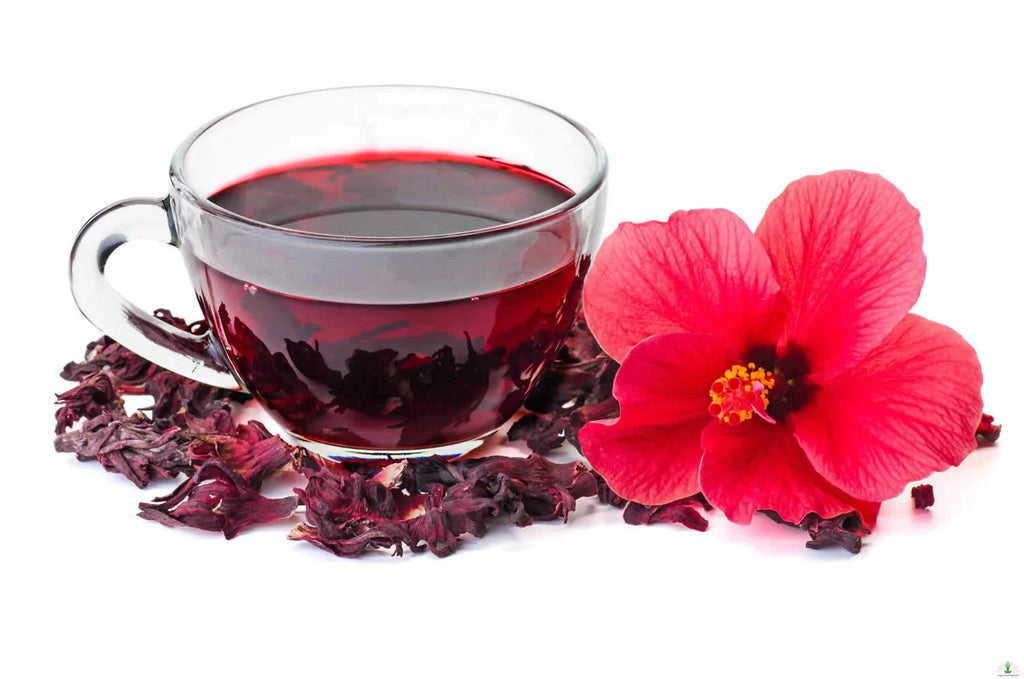 Dried Hibiscus Flower Tea, Cut & Sifted, 16 oz C36411