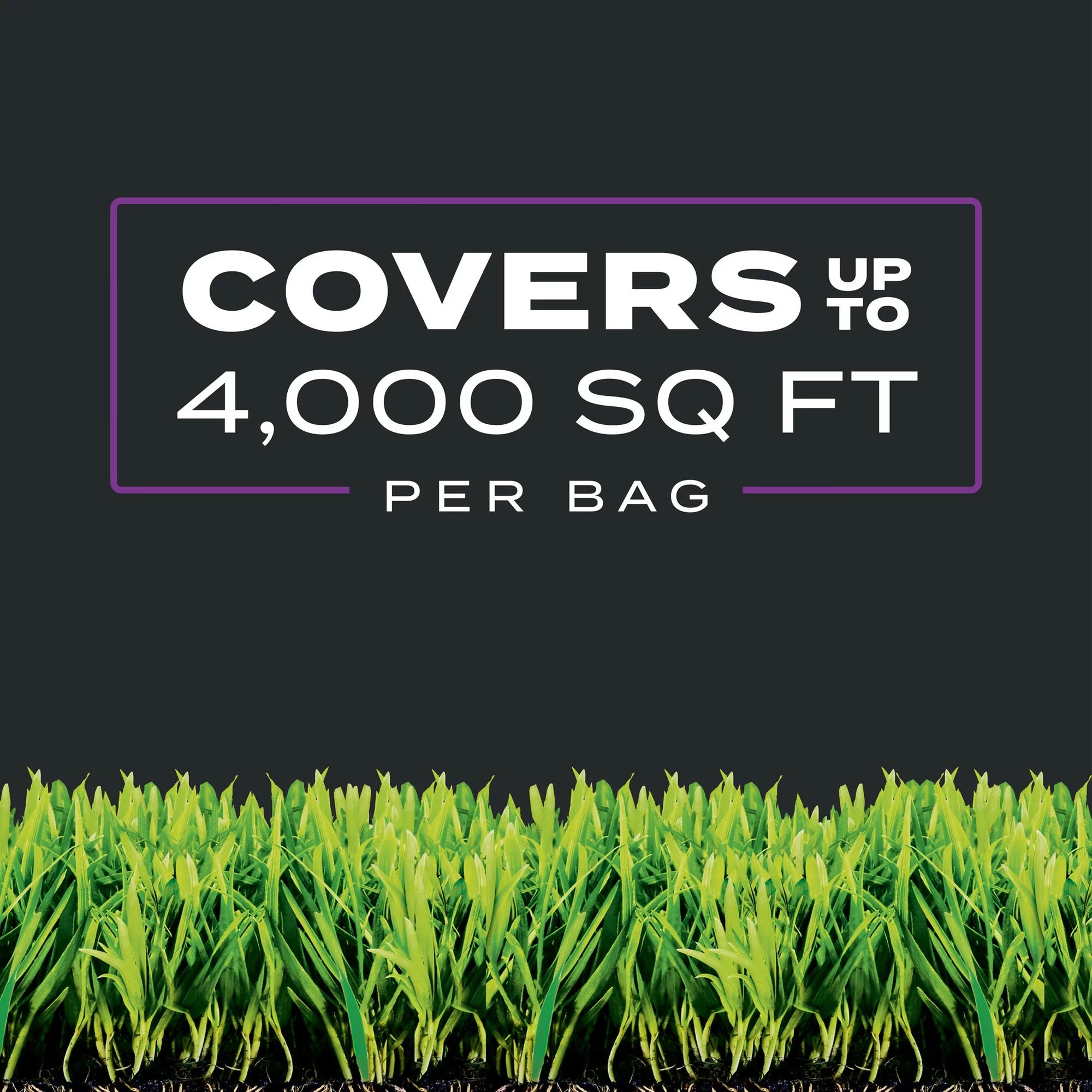 Southern Triple Action Lawn Treatment, 4000 sq ft L61543