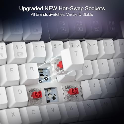 75% Wireless Gasket RGB Gaming Keyboard, 81 Keys Hot-Swap Mechanical Z726001